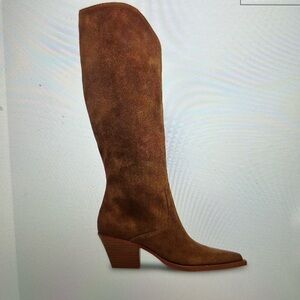 Dolce Vita brown suede tall boot
